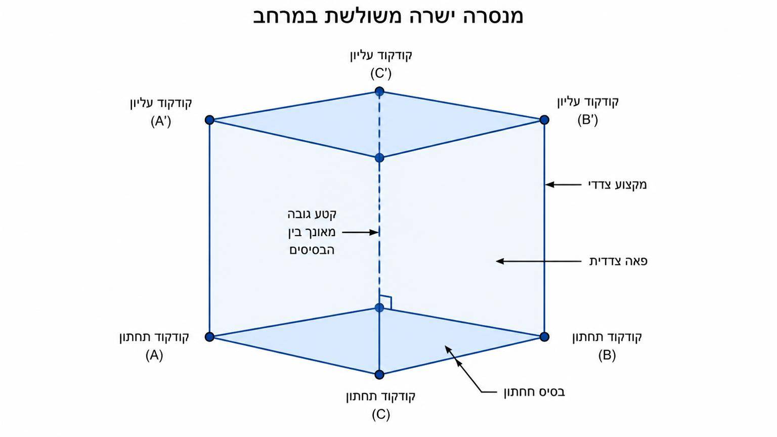 מנסרה ישרה משולשת במרחב: שני משולשים חופפים במישורים מקבילים, קודקודי הבסיס התחתון A B C והעליון A' B' C' מחוברים במקצועות צדדיים מקבילים; מסומנים בסיס, פאה צדדית, מקצוע צדדי וקטע גובה מאונך בין הבסיסים