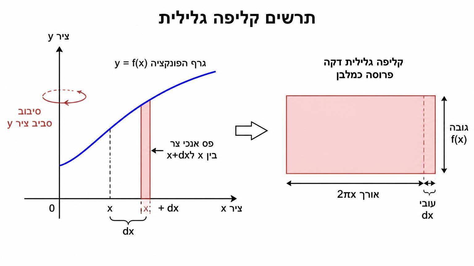 תרשים קליפה גלילית: מערכת צירים קרטזית עם ציר y אנכי; גרף פונקציה עולה; פס אנכי צר בין x ל-x+dx מסומן מתחת לגרף; חץ מסמן סיבוב סביב ציר y; מימין מוצגת קליפה גלילית דקה פרוסה כמלבן עם תוויות אורך 2πx, גובה f(x), עובי dx