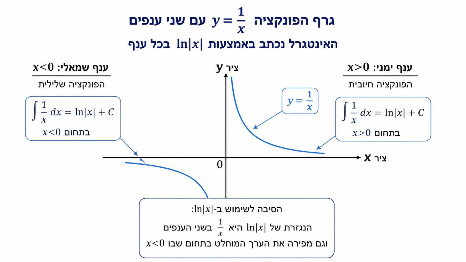 גרף הפונקציה y=1/x עם שני ענפים, אחד בתחום x>0 ואחד בתחום x<0, כדי להמחיש שהאינטגרל נכתב באמצעות ln|x| בכל ענף