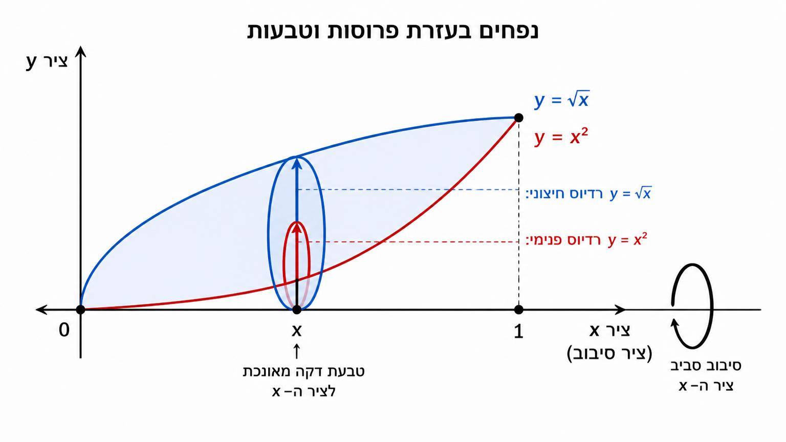 מערכת צירים: שתי העקומות y=√x ו־y=x² בין x=0 ל־x=1, ציר ה־x משמש ציר סיבוב, טבעת דקה מאונכת לציר ה־x עם רדיוס חיצוני עד y=√x ורדיוס פנימי עד y=x², וחץ סיבוב סביב ציר ה־x