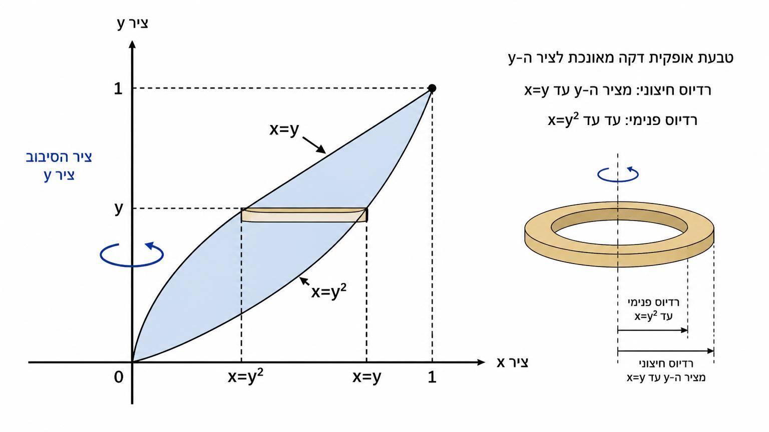מערכת צירים: העקומות x=y ו־x=y² בין y=0 ל־y=1, ציר ה־y משמש ציר סיבוב, טבעת אופקית דקה מאונכת לציר ה־y עם רדיוס חיצוני מציר ה־y עד x=y ורדיוס פנימי עד x=y², וחץ סיבוב סביב ציר ה־y