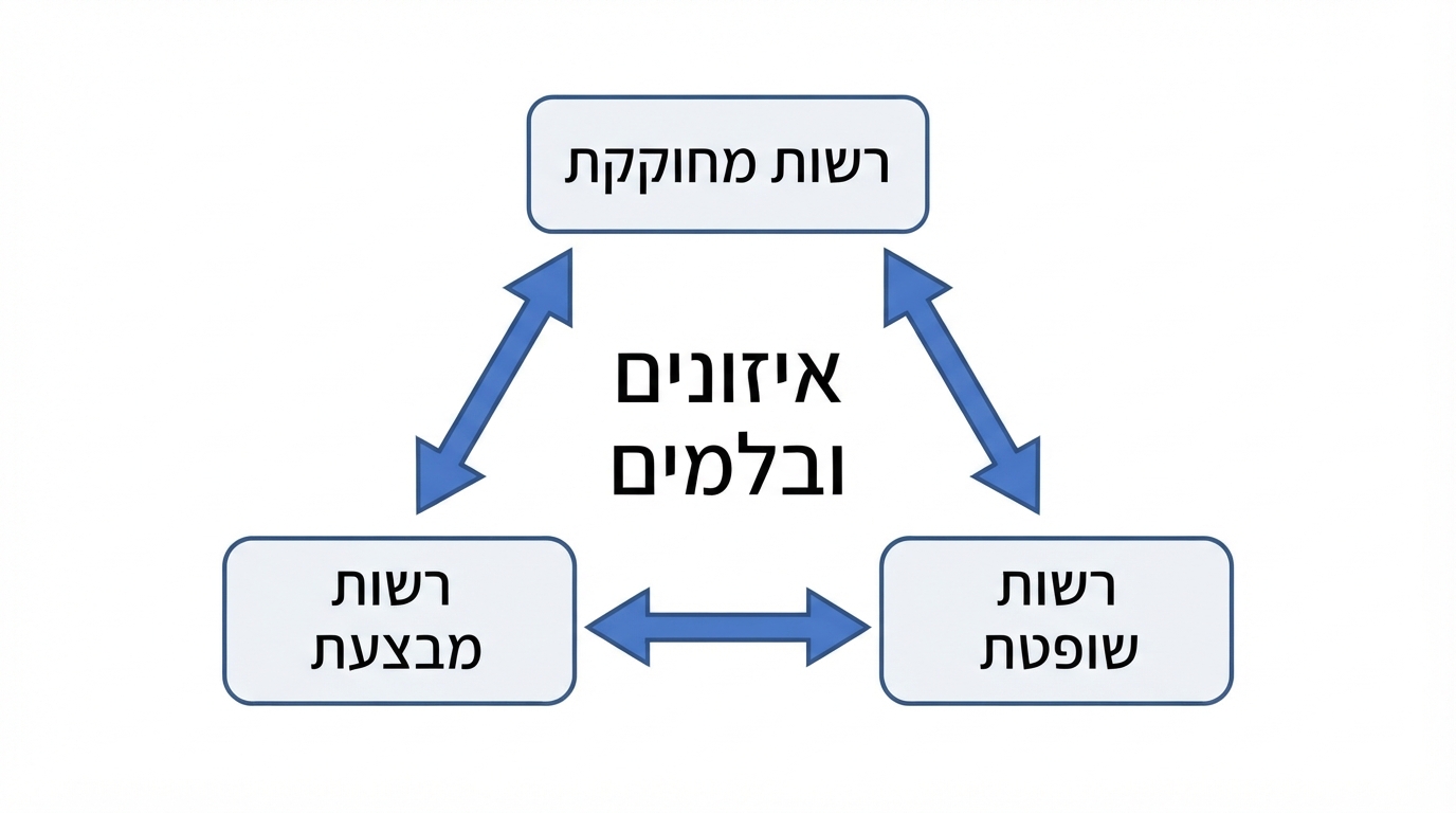 תרשים הפרדת רשויות ואיזונים ובלמים