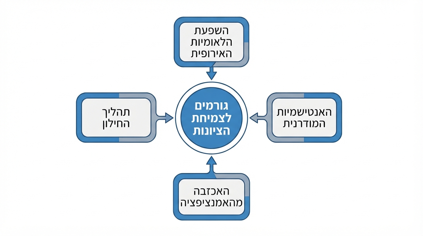 תרשים הגורמים לצמיחת התנועה הציונית