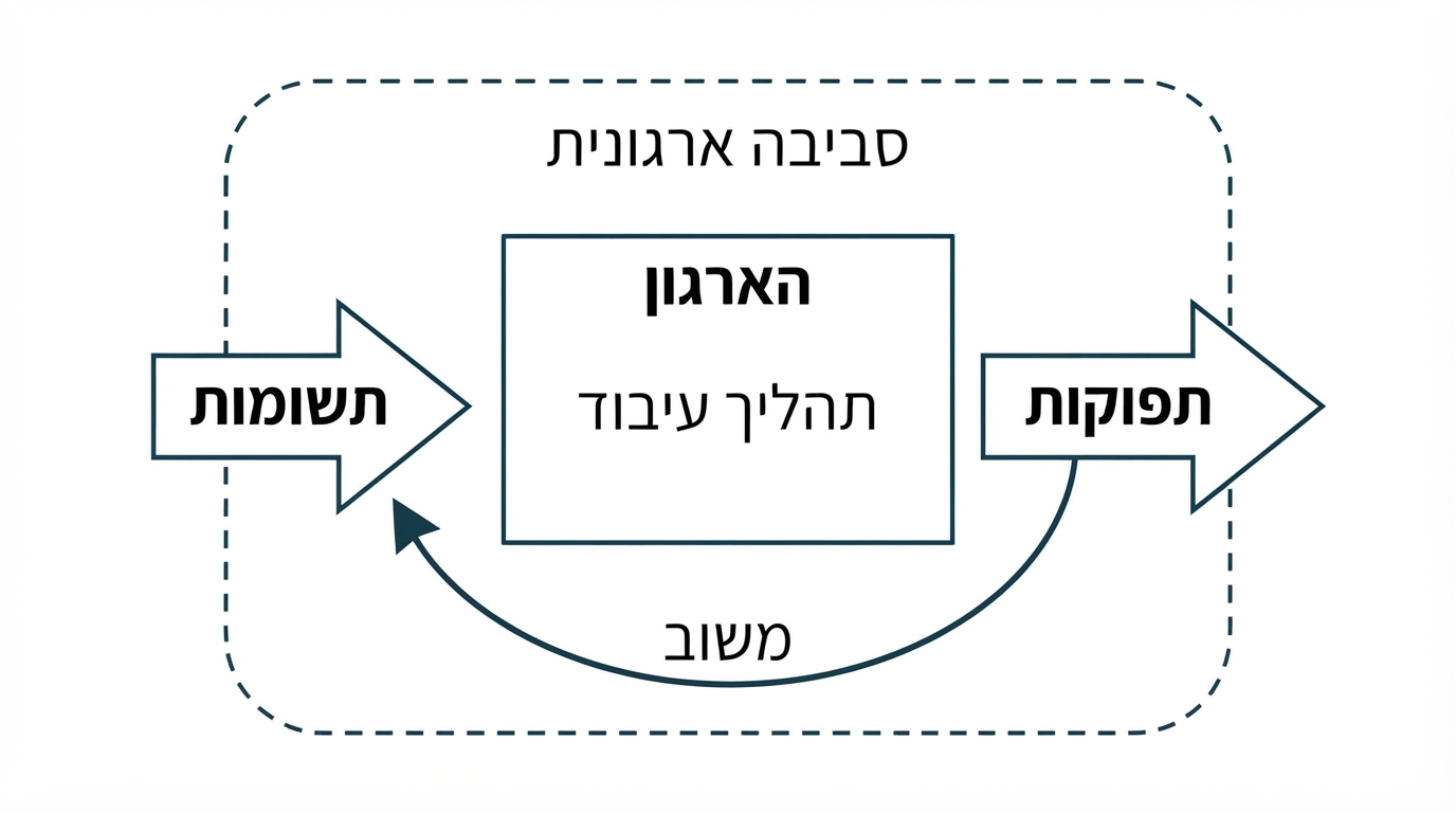 דיאגרמה של גישת המערכת הפתוחה בארגון